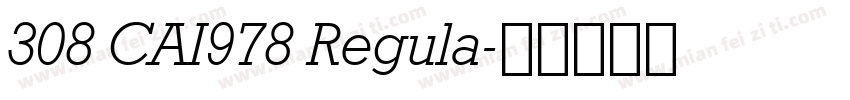 308 CAI978 Regula字体转换